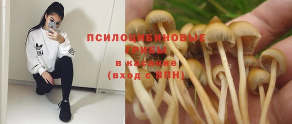хмурый Алексеевка