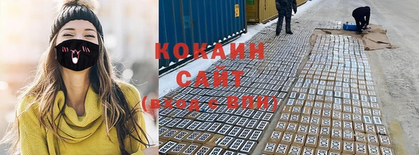 прущие грибы Сафоново
