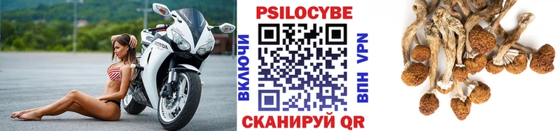Галлюциногенные грибы MAGIC MUSHROOMS  kraken как зайти  Алексин 