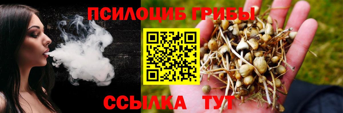 Галлюциногенные грибы Psilocybine cubensis Алексин